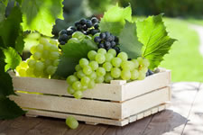 uvas varios
