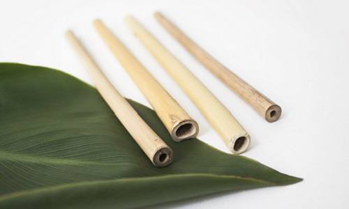sorbetes ecologicos