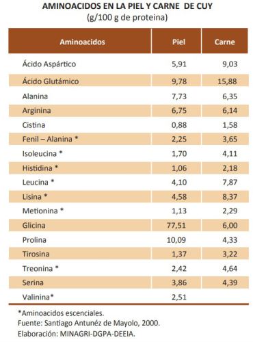 aminoacidos cuy