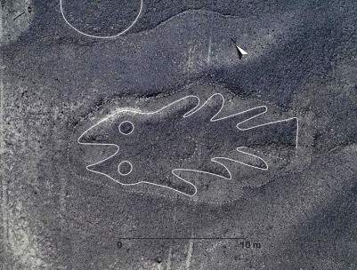 figura ave Nasca