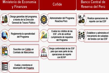 Reactiva MEF cofide BCR