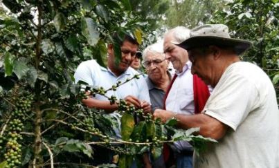 Cafe campo tecnicos