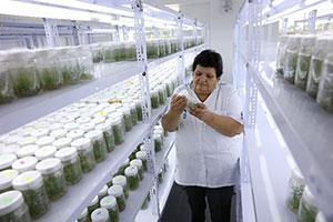 Unalm laboratorio