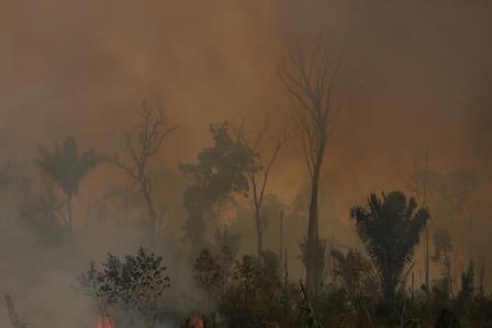 incendio Michael Dantas WWF 3