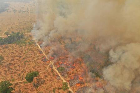 incendio Michael Dantas WWF Brazil 4