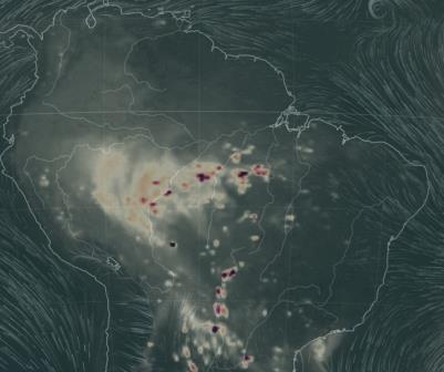 incendios Amazonia brasil ago 2020