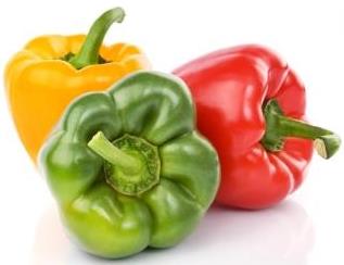 pimiento morron 3 colores