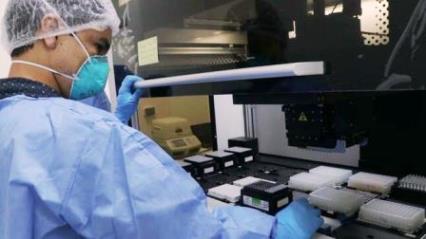 INS pruebas moleculares