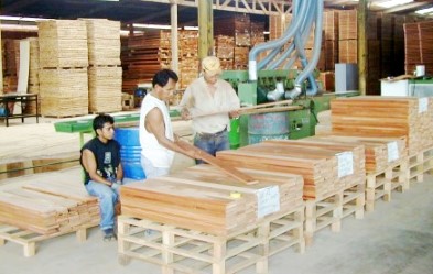 seleccion maderas