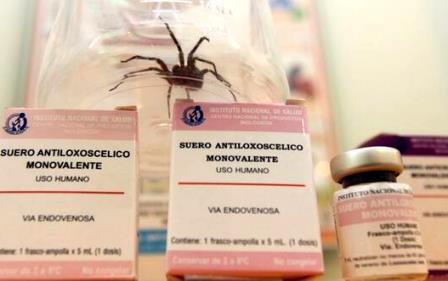 suero antiloxosclico