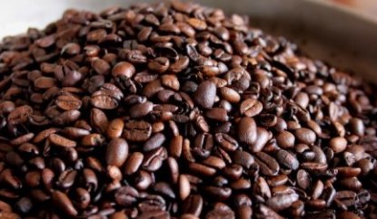 cacao para exportacion