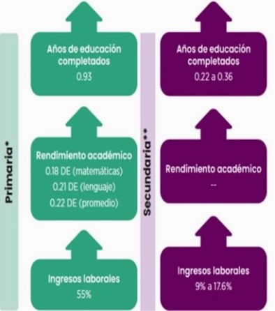 educacion distancia sin educacion