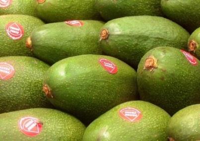 Palta fuerte ADEX