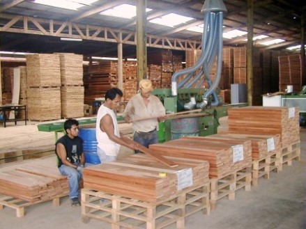 Madera ADEX 6