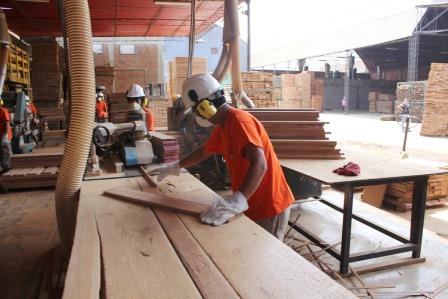 Madera ADEX taller