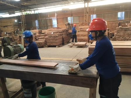 madera ADEX