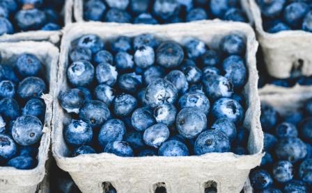 arandanos cajas adex