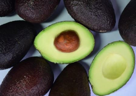 Palta Hass partidas