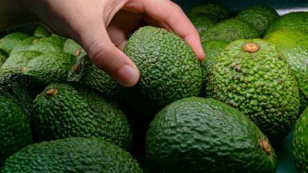 Palta huancavelica ADEX prensa