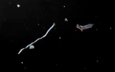 Reutlingen 49 hilos cajitas objetos raros