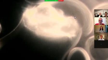 Reutlingen 71 grumo Johnson y Johnson