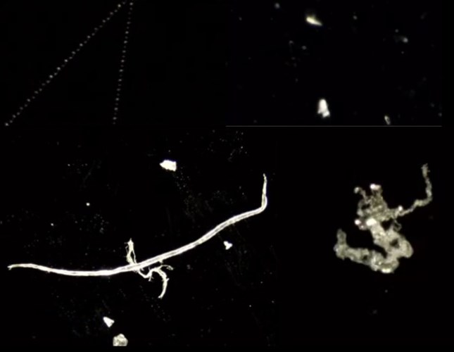 Reutlingen 75 AstraZeneca cadenas objetos