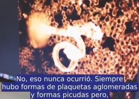 estructuras sangre covid 4