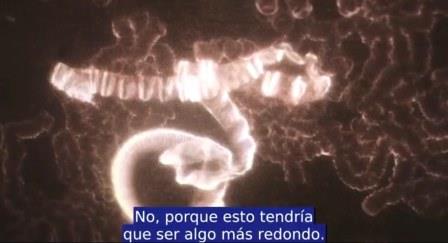 estructuras sangre covid 7