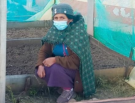 Irene agricultora