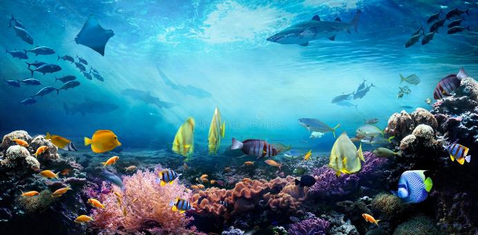 Regenerar ecosistemas Dreamstime