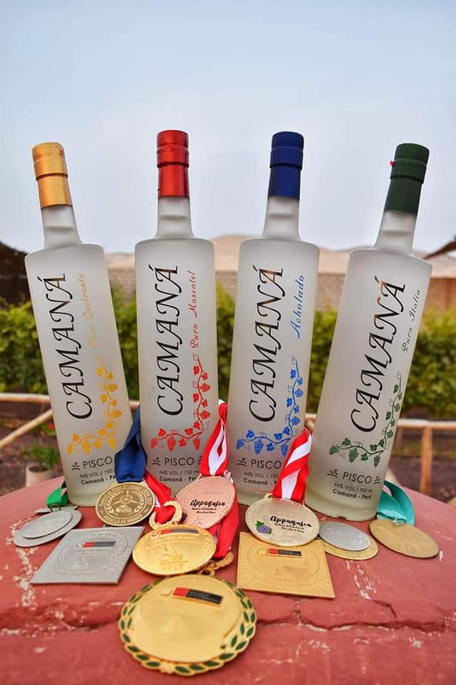 piscos Camana
