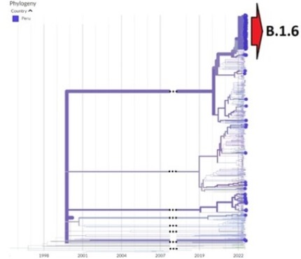 genoma viruela mono B16 INS