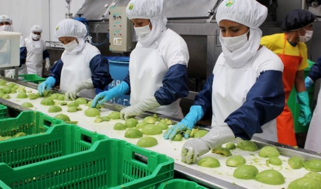 palta proceso pelado adex