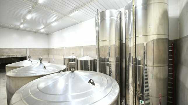 produccion aceite oliva