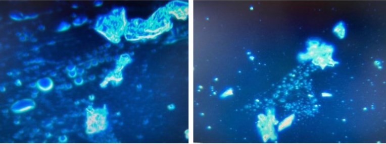 sangre tras ARNm eritrocitos parecen siendo conducidos a agruparse