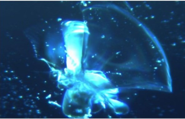 sangre tras ARNm estructura cristalizada