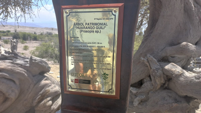 huarango 400 anos Nasca placa