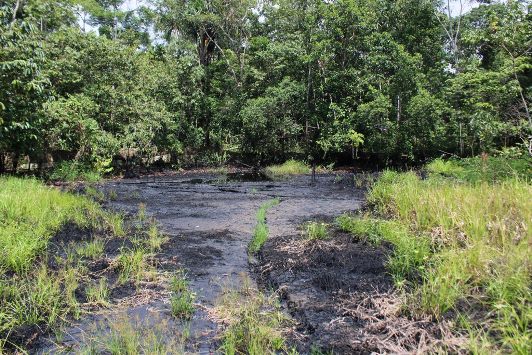 pasivo petroleo pluspetrol 2 David Daz PUINAMUDT