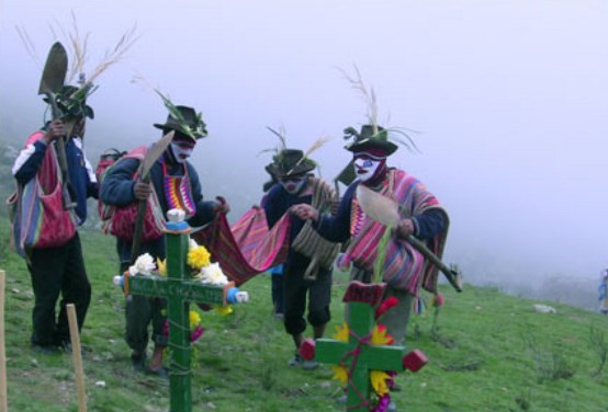 Tupicocha hidraulica inca