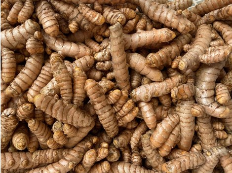 curcuma 2