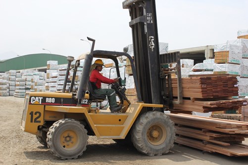 montacarga pato aserradero