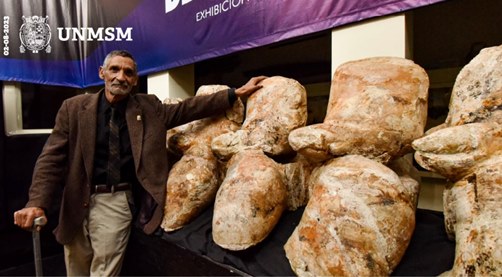 vertebra Perucetuscolosus