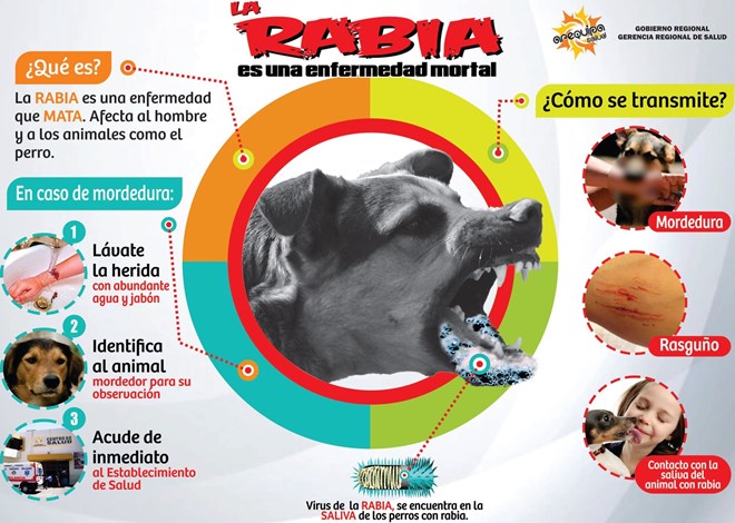 rabia canina