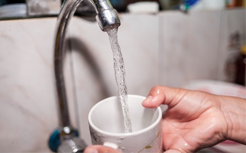 agua taza