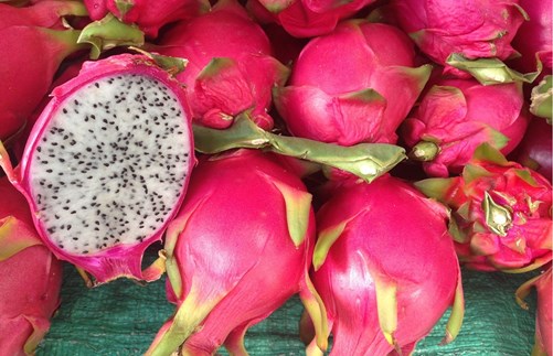 pitahaya 5
